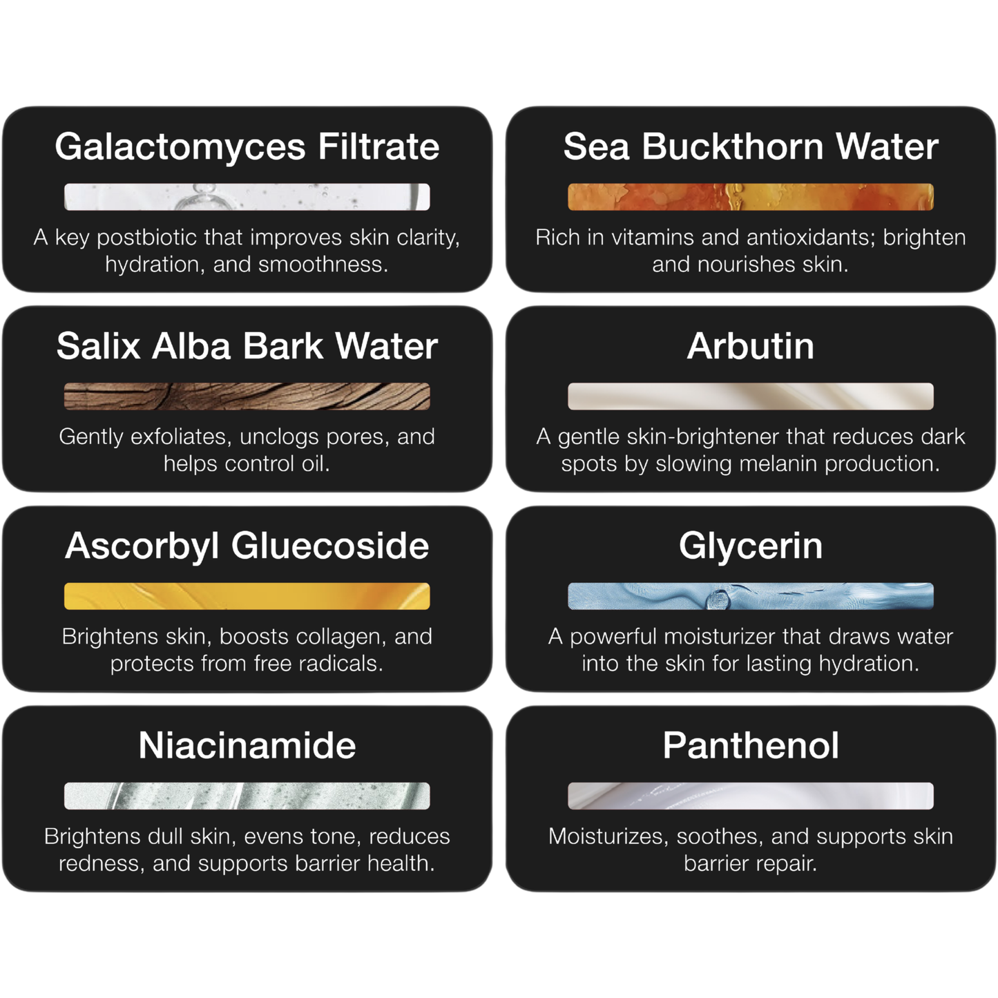 Postbiotic Foundational Serum